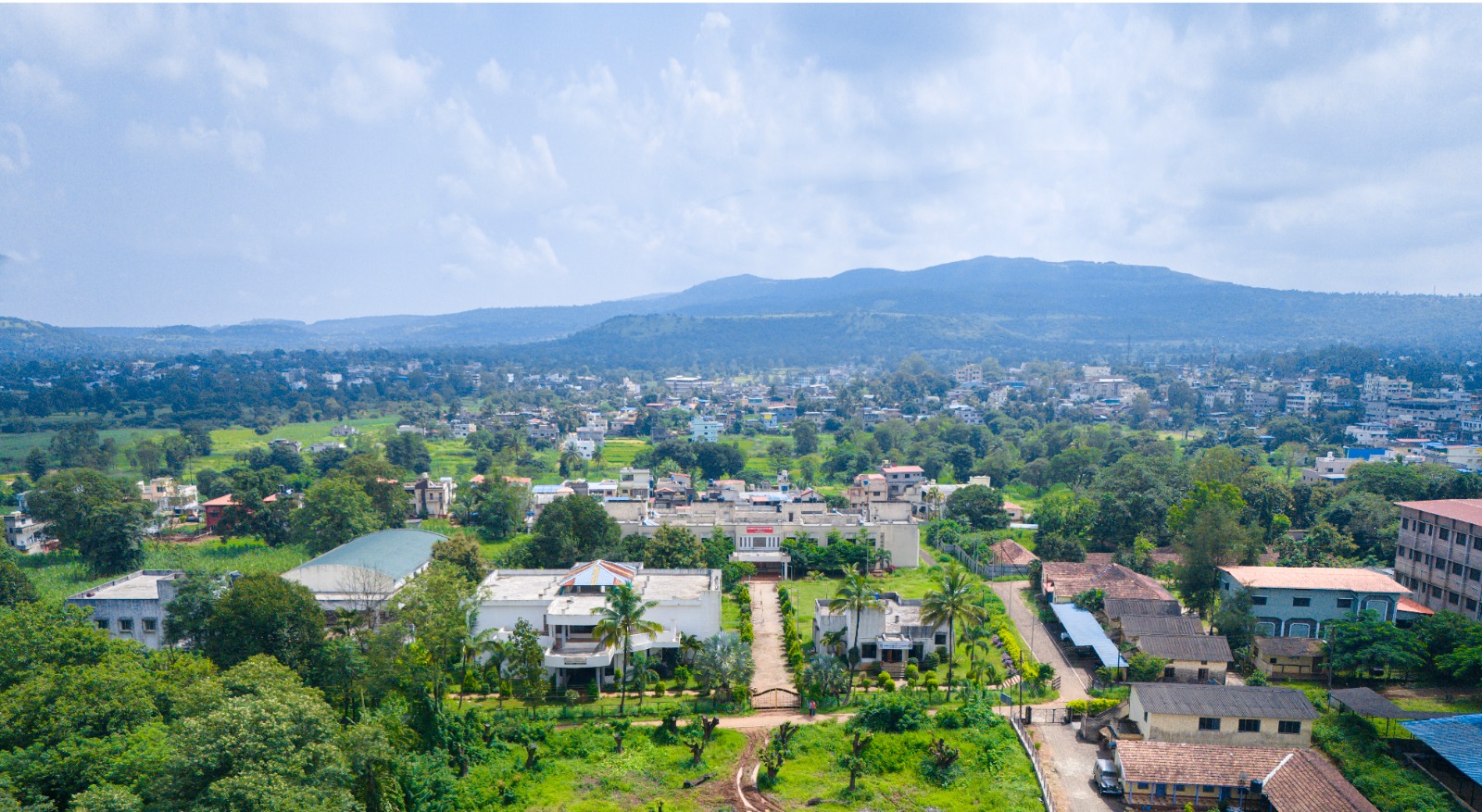 Drone View